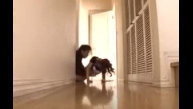 ☆顔射☆フェラチオ☆潮噴き♡だから好きなの…レイプ＠人妻♡若妻が好きだから…寝取られのエロエロ動画※強姦のthumbnail